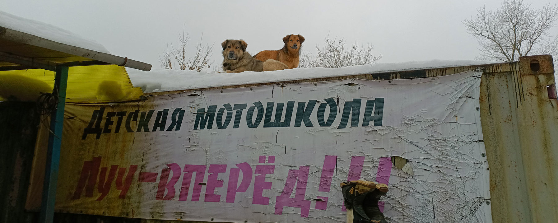 1й урок мотокросса 19,01,2023